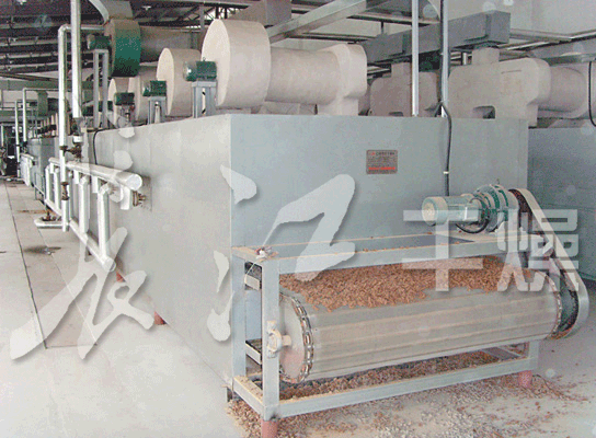 单层带式干燥机