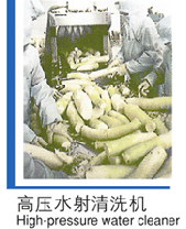 脱水蔬菜干燥机A3