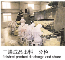 脱水蔬菜干燥机A3