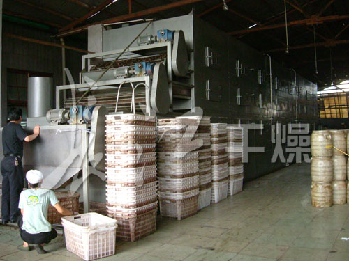 脱水蔬菜带式干燥机