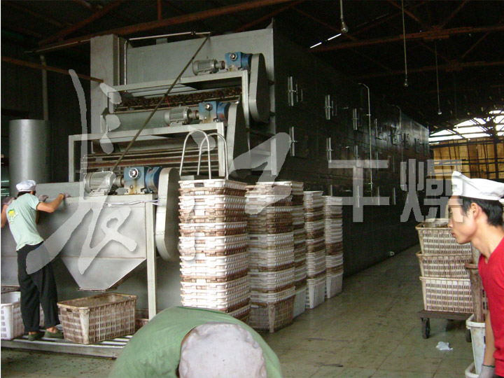 脱水蔬菜带式干燥机