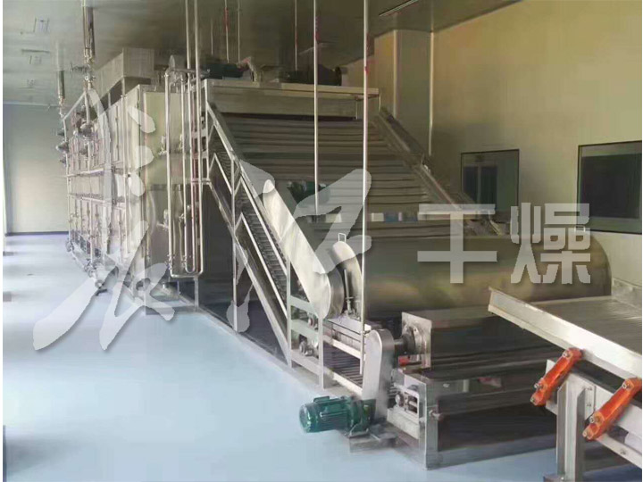 脱水蔬菜带式干燥机